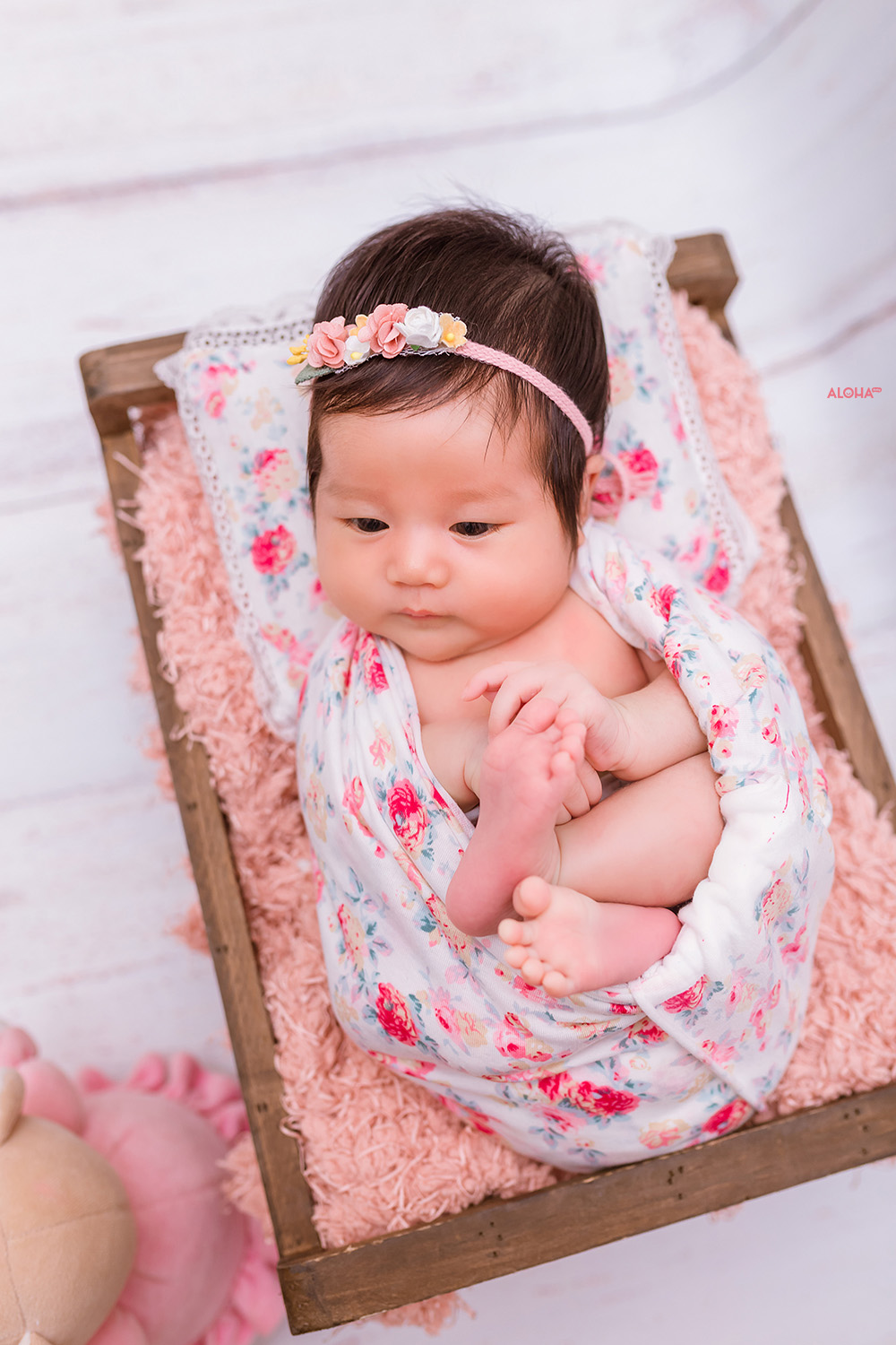 album ảnh newborn 14